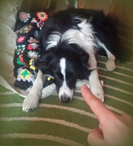 boomerpracticingpatience