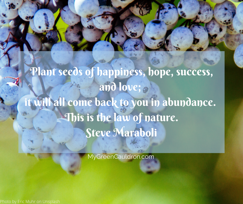 Abundance, Inner Strength, divine love